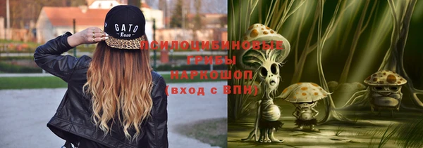 индика Арсеньев