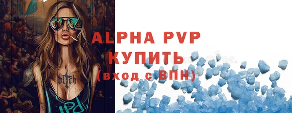 индика Арсеньев