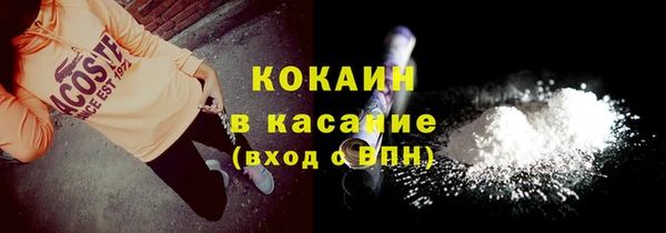 индика Арсеньев