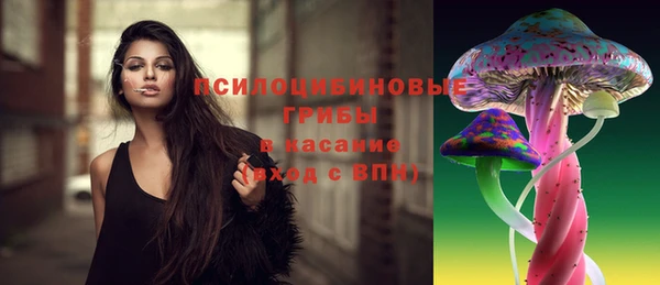 мяу мяу кристалл Малоярославец