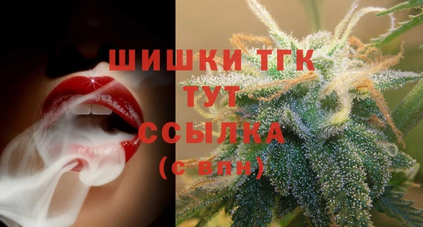 индика Арсеньев