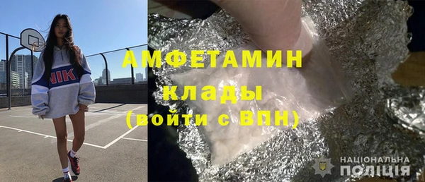 индика Арсеньев