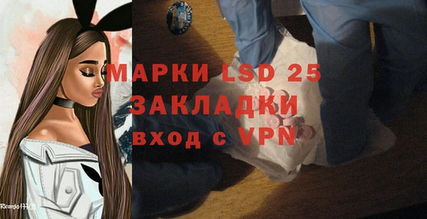 индика Арсеньев