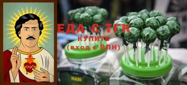 индика Арсеньев
