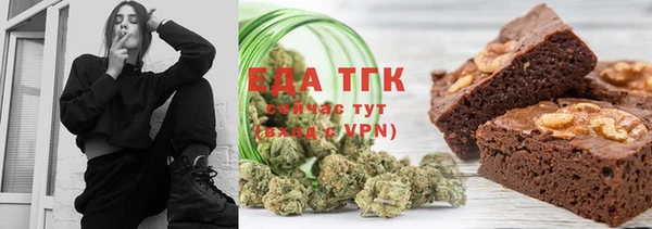 индика Арсеньев