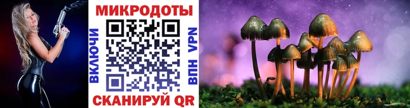 закладка  Миньяр  Псилоцибиновые грибы MAGIC MUSHROOMS 