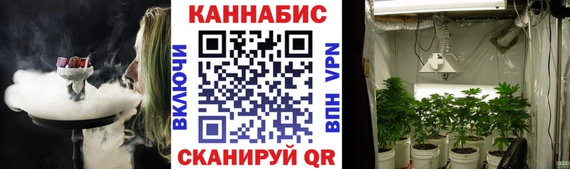 Шишки марихуана AK-47 Миньяр